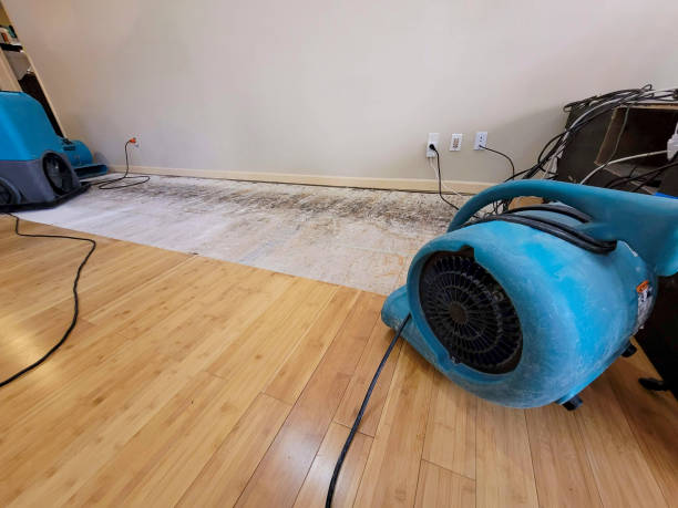 Professional Structural Drying technician working in Camp Verde, AZ